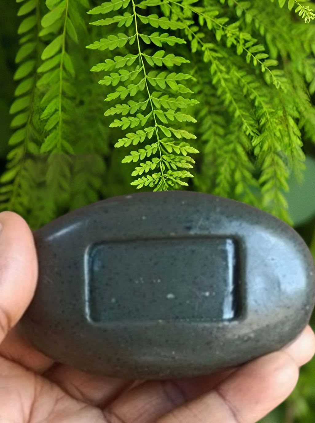 Neem & Moringa Bar Soap - Natural-Inspired Daily Body Care Products